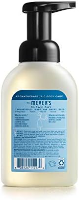 MRS. MEYER'S CLEAN DAY Foaming Hand Soap, Rainwater Scent, 10 fl oz