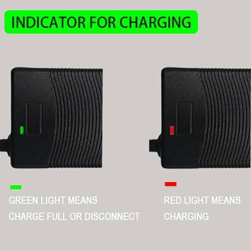 THEPRO 54.6V 2A Battery Charger for 48V Lithium Battery, Universal 54.6V Power Adapter Chargers, 5.5mm DC Connector for 2.5mm/2.1mm