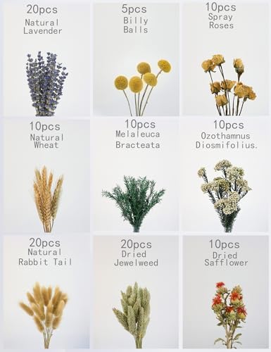 xin's convey DIY Natural Dried Flower Set, Bulk Dried Flowers for Vase, Dried Flowers with Stems, Dried Roses, Mini Dried Flower Bouquets.(Brown)