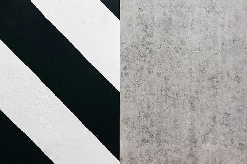 Rust-Oleum Professional Inverted Striping White Spray Paint