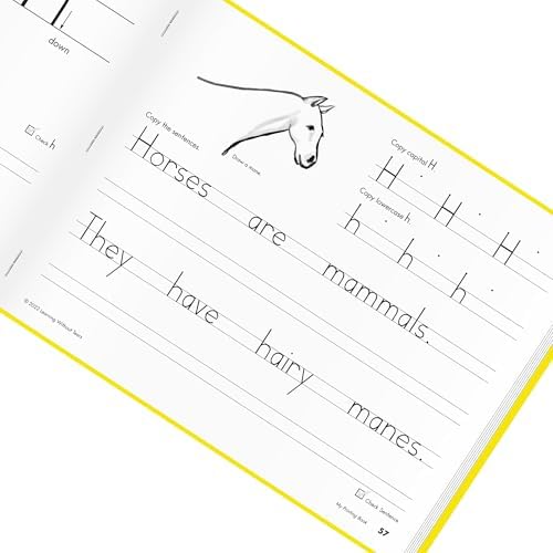 Learning Without Tears My Printing Book Workbook, 1st Grade+, Age 6+