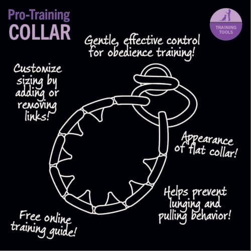 Starmark Pro-Training Dog Collar Large (Pack of 12)