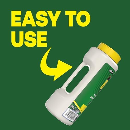 Raid Outdoor Ground Nest Wasp & Insect Killer Dust, 24 oz