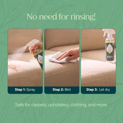 Puracy Laundry Stain Remover for Clothes Laundry - Carpet Stain Remover Carpet Spot Cleaner Couch Stain Remover - Clothes Spray, Free & Clear - Instant Spot Remover, 48 Fl Oz (Pack of 1)