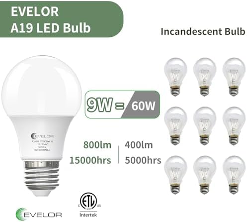 evelor 6-Pack A19 LED Light Bulbs,60 Watt Equivalent,Daylight 5000K