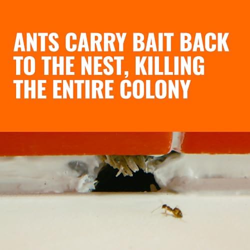 TERRO Liquid Ant Killer Bait Stations, 18-Count, Indoor Ant Traps, T300-3SR