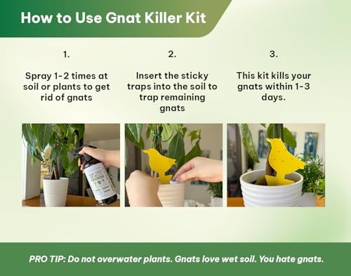 Kate's Home & Garden Plant Spray for Insects & Gnats, 12 Sticky Traps, 16oz
