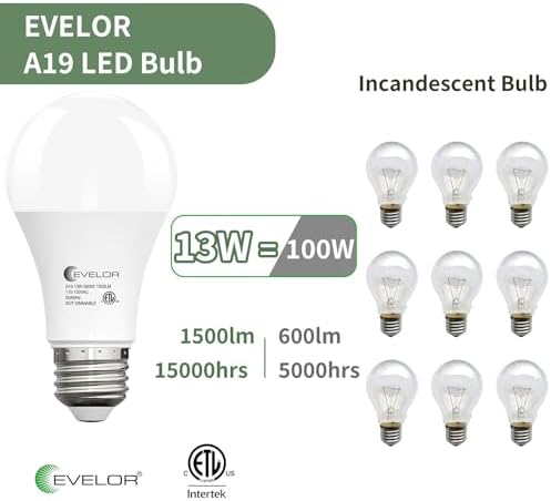 evelor 6-Packs A19 LED Light Bulbs,100 Watt Equivalent Daylight 5000K Bright Bulbs Efficient 13W,1500 Lumens E26 Base, Non-Dimmable, 15000-Hour Lifespan for Bedroom, Living Room, Office