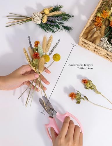 xin's convey DIY Natural Dried Flower Set, Bulk Dried Flowers for Vase, Dried Flowers with Stems, Dried Roses, Mini Dried Flower Bouquets.(Brown)