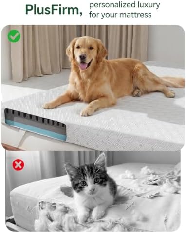 College Dorm Room Essential Twin XL Memory Foam Mattress Topper Pad