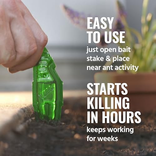 TERRO Outdoor Liquid Ant Bait Stakes, 12-Pack, Ready-to-Use Ant Killer Trap