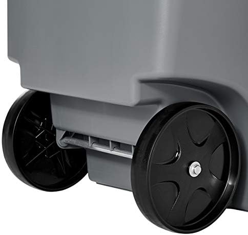 Rubbermaid Commercial Products BRUTE Rollout Plastic Trash/Garbage Can/Bin with Wheels 65 Gal for Restaurants/Hospitals/Offices/Back of House/Warehouses/Home