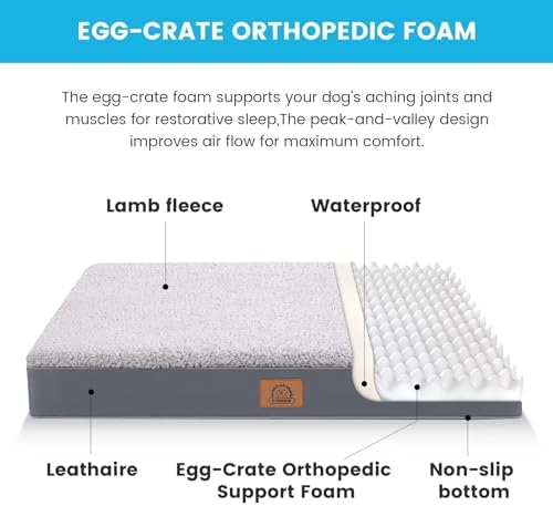 Sunheir Washable Orthopedic Large Dog Bed with Removable Cover, Pet Bed Mat