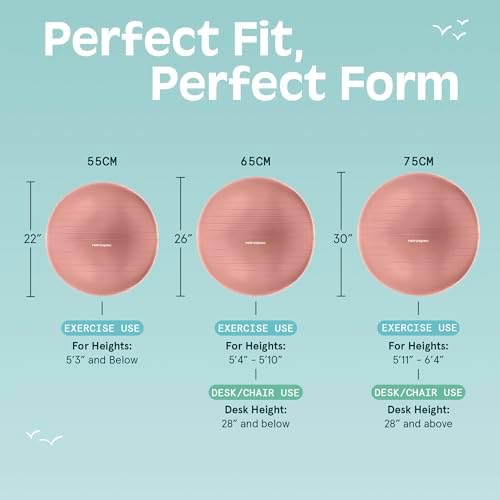Retrospec Luna Exercise Ball with Pump - Anti-Burst Fitness Equipment for Yoga, Core Training & Stability - Home Gym Swiss Ball for Office & Pregnancy