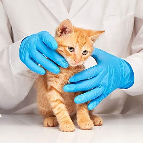 Basic Medical Blue Nitrile Exam Gloves - Latex-Free & Powder-Free - NGPF 7001(Case of 1,000), Small