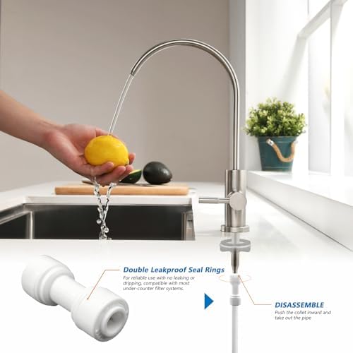 WEWE Drinking Water Faucet for RO System and Bar Sink, Brushed Nickel
