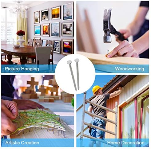 376PCS Galvanized Nails Kit with Storage Box, 6 Sizes for Hanging Pictures