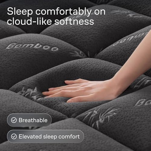 Niagara Sleep Solution Ultra Soft Queen Size Mattress Pad, Pillow Top