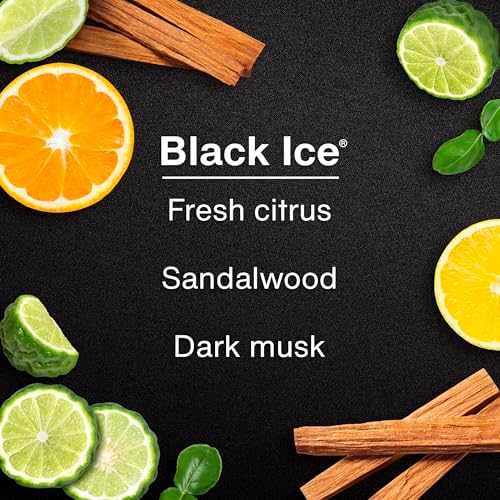 LITTLE TREES Car Air Freshener | Hanging Tree Provides Long Lasting Scent for Auto and Home | Black Ice, 24 Air Fresheners