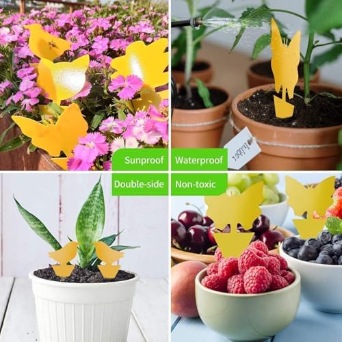 LFSYS 64Pcs Yellow Sticky Fruit Fly Traps for Indoors Gants Light Yellow