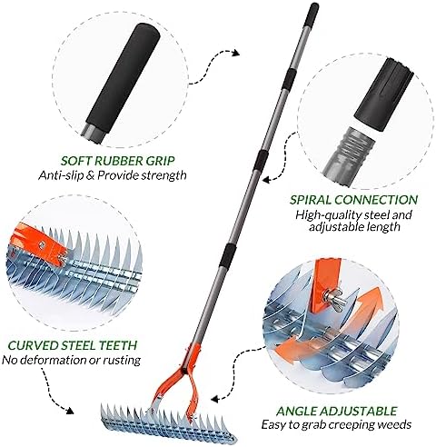 Walensee 15-Inch Thatch Rake for Lawn, 19-Tine Dethatcher, 70-Inch Handle