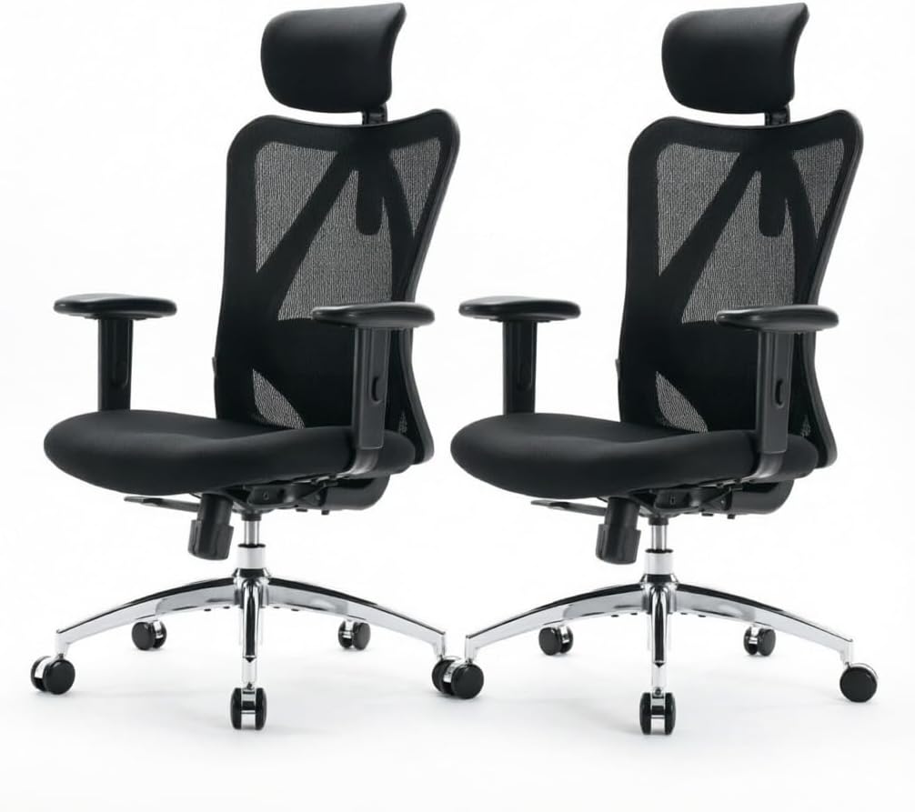 SIHOO M18 Ergonomic Office Chair, Mesh Back Desk Chair with Headrest