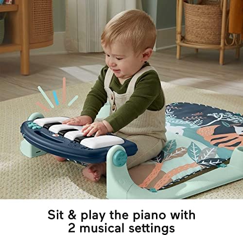 Fisher-Price Kick & Play Piano Gym, Navy Fawn