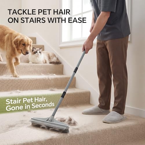 Walensee Carpet Rake, 2-in-1 Nylon Carpet Brush & Pet Hair Rake