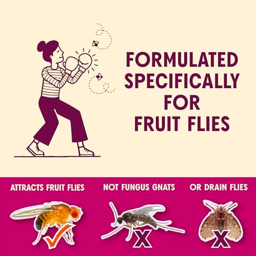 Aunt Fannie's FlyPunch Fruit Fly Trap, Indoor Kitchen Use, 6 oz, Pack of 2