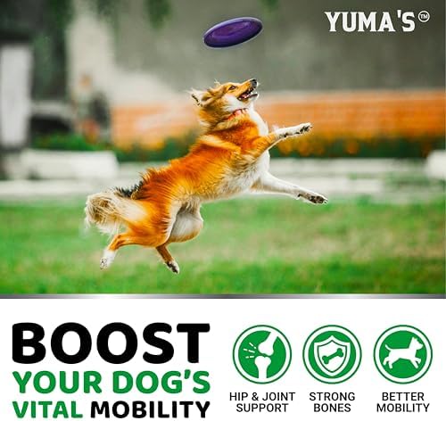 YUMA'S Glucosamine for Dogs - 240 Chews - Hip & Joint Supplement for Dogs | Chondroitin, MSM, Salmon Oil & Turmeric Chews, Joint Pain Relief & Mobility for Large, Medium & Small Breed Dogs, Made in USA