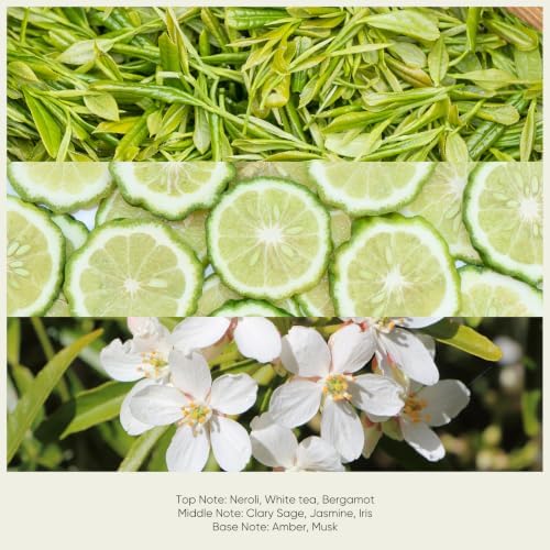 Lopeie White Tea Diffuser Oil – Essential Oil for Diffuser, Air Freshener & Room Spray – Long-Lasting with Notes of Tea, Neroli & Bergamot – Hotel Scent for Ultrasonic & Waterless Diffusers, 8.5 fl.oz
