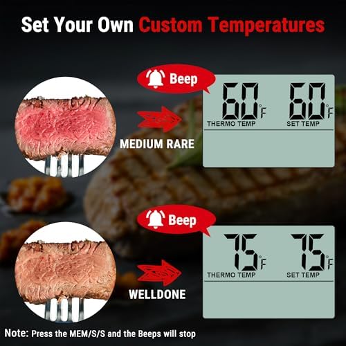 TempPro TempTrack Large LCD Digital Meat Thermometer for Cooking, Smoking