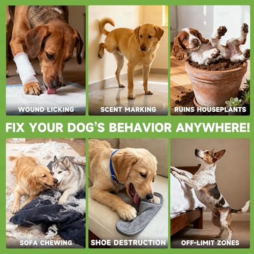 2 Bottles, Bitter Dog No Chew Spray, Bitter Dog Training Aid for Furniture & Carpet, Puppy Corrector & Behavior Spray for Dogs & Puppies, Discourage Peeing, Biting, Chewing & Licking Injuries