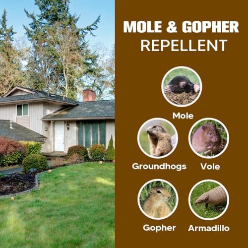 LEBMP Mole Repellent, Gopher Repellent, Groundhogs Repellant Outdoor-8Pcs