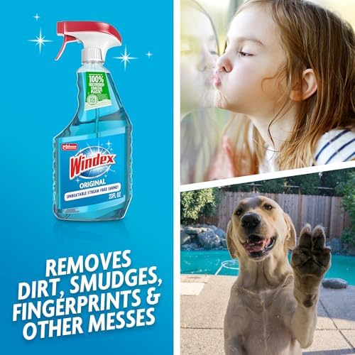 Windex Glass & Window Cleaner Spray Bottle, Original, 23 oz