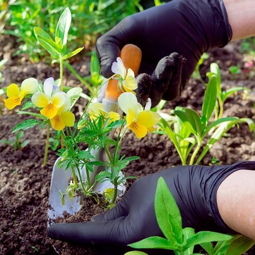FifthPulse [150 Count] Biodegradable Gloves - Black Nitrile Disposable Gloves - Medical Exam and Food Safe - Latex Free
