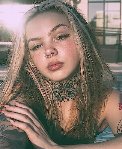 1-16Pcs 16G 18G 20G 22G Nose Rings Hoops Nose Piercings Fake Nose Ring Fake Septum Nose Ring Fake Lip Rings Fake Septum Piercing Fake Nose Piercing Fake Nose Hoop Faux Nose Rings Clip On Nose Cuffs Nose Piercing Jewelry Nose Rings for Women Men Nose Hoops