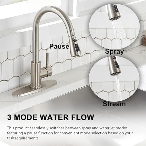 VAPSINT Kitchen Faucet with Pull Down Sprayer, Brushed Nickel