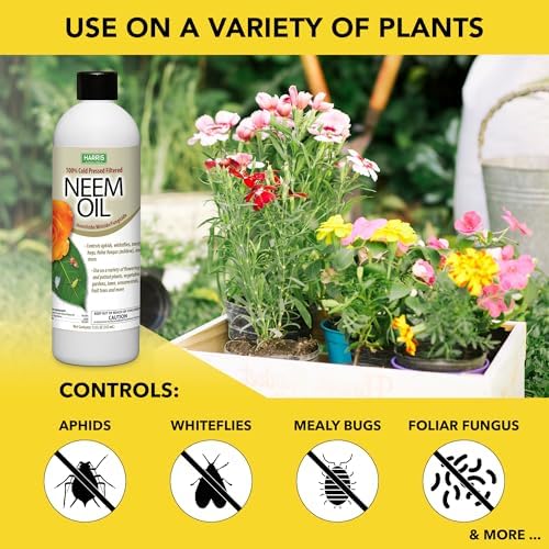 Harris Concentrated Neem Oil 100% Cold Pressed Filtered Oil Insecticide/Miticide/Fungicide, 12 oz Concentrate