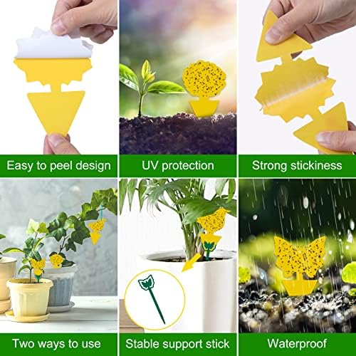 Yellow Sticky Fruit Fly Trap 54 Pack, Gnat Traps for Indoor House Plants