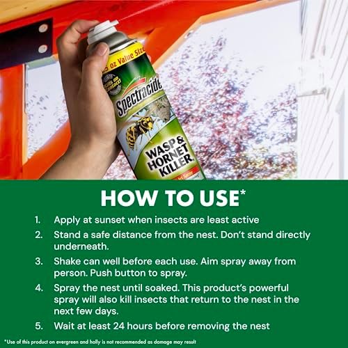 Spectracide Wasp & Hornet Killer Aerosol Spray 18.5 Oz, 12 Pack