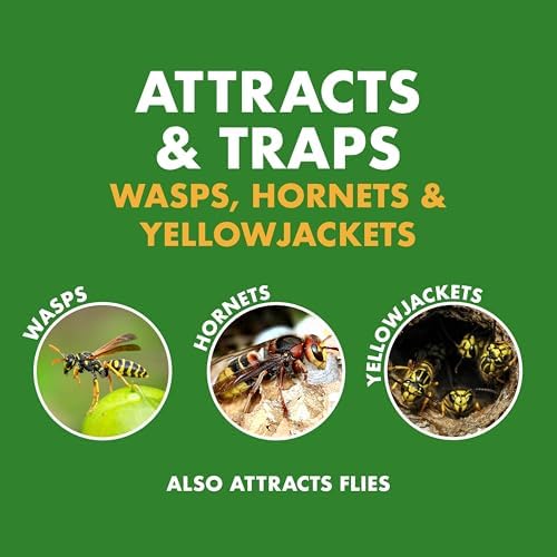 Spectracide Wasp, Hornet & Yellowjacket Trap, 1 Count