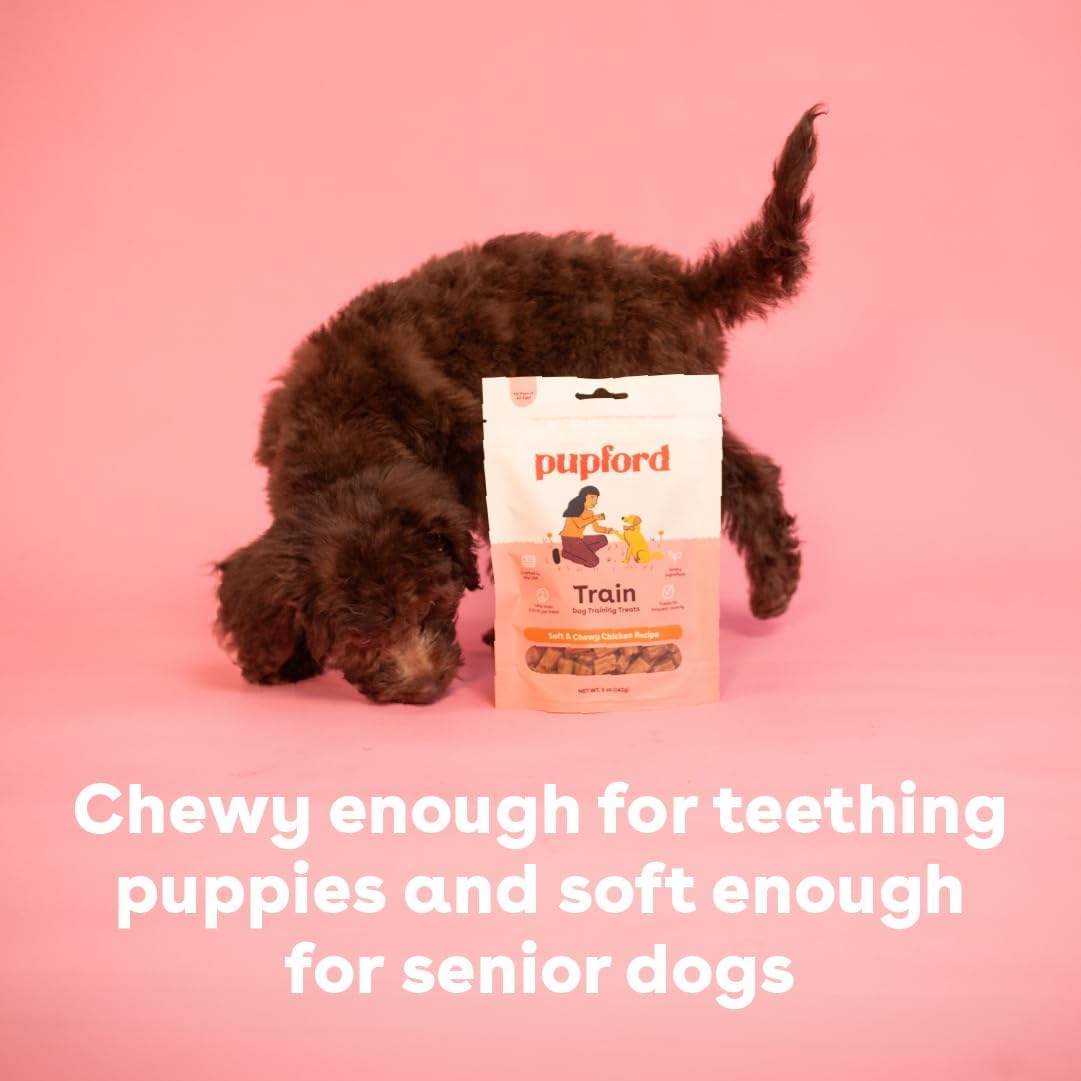 Pupford Soft & Chewy Training Treats for Dogs & Puppies (Pork, 5 oz) | 250+ treats per bag, <2 kcals each, Only 7 ingredients, All breed sizes, Mess free and bite sized, Trainer recommended