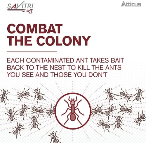 Atticus Savitri Ant Gel Bait (4 x 30 Grams) - Indoor and Outdoor Ant Killer