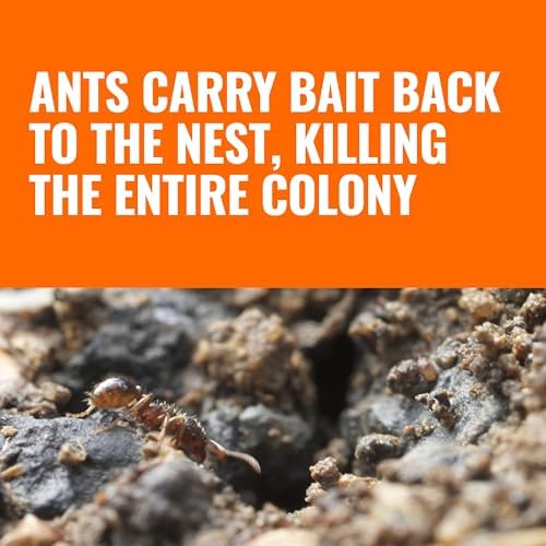 TERRO Outdoor Liquid Ant Bait Stakes, 12-Pack, Ready-to-Use Ant Killer Trap