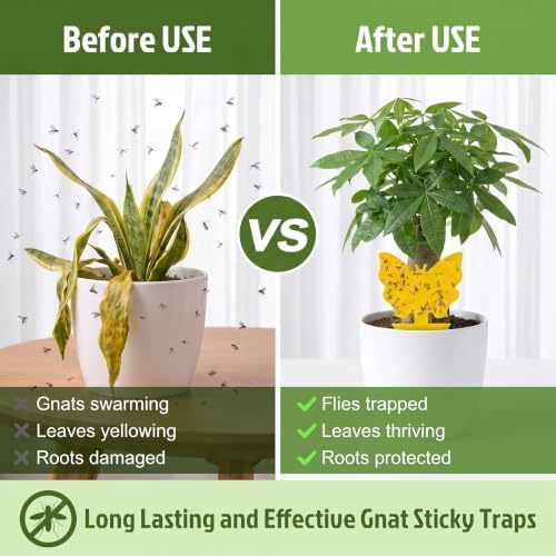 Yellow Sticky Fruit Fly Trap 54 Pack, Gnat Traps for Indoor House Plants