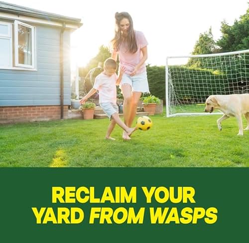 Raid Outdoor Ground Nest Wasp & Insect Killer Dust, 24 oz