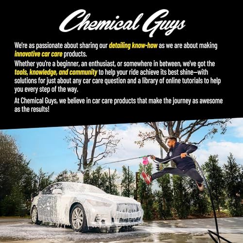 Chemical Guys, Induro 7 Heavy Duty Car Carpet & Upholstery Detailing Brush