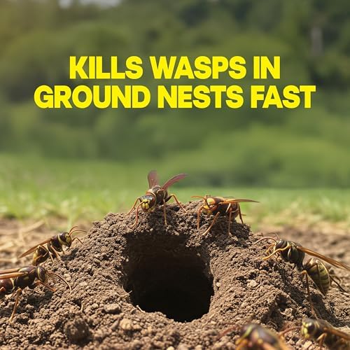 Raid Outdoor Ground Nest Wasp & Insect Killer Dust, 24 oz
