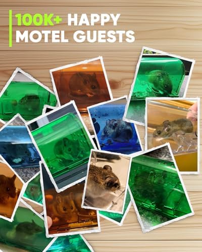 Motel Mouse Humane No Kill Mouse Traps Live Catch & Release - 4 Pack